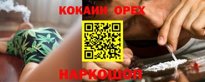 амф Сланцы