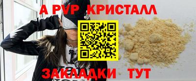 амф Сланцы