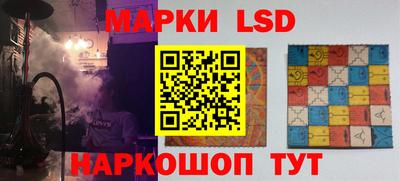 амф Сланцы