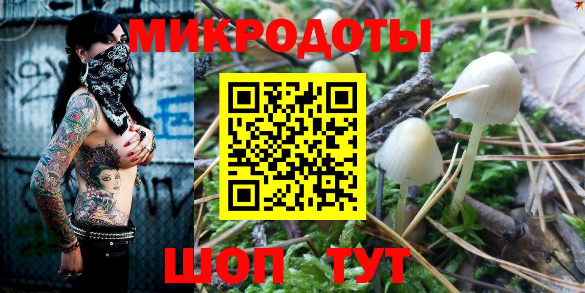 Нурлат  Галлюциногенные грибы Psilocybe  Вход с VPN 
