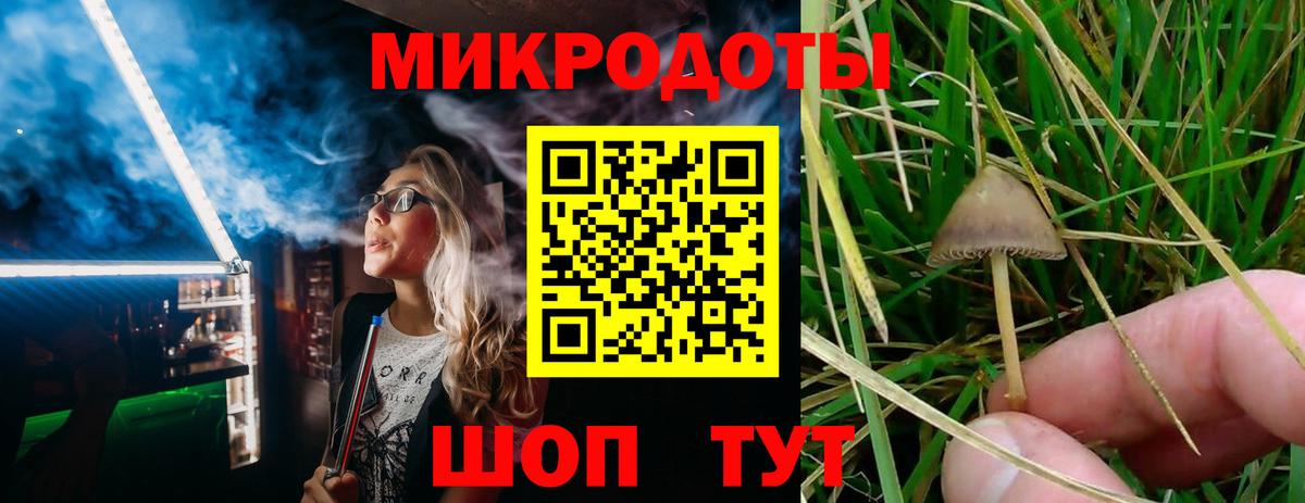 Псилоцибиновые грибы Psilocybine cubensis Нурлат